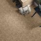 Anderson Tuftex Caress Free Spirit Carpet in Natural Beauty, , large