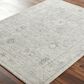 Surya Davina 6"7" x 9" Medium Gray, Light Beige, Brown, Denim and White Area Rug, , large