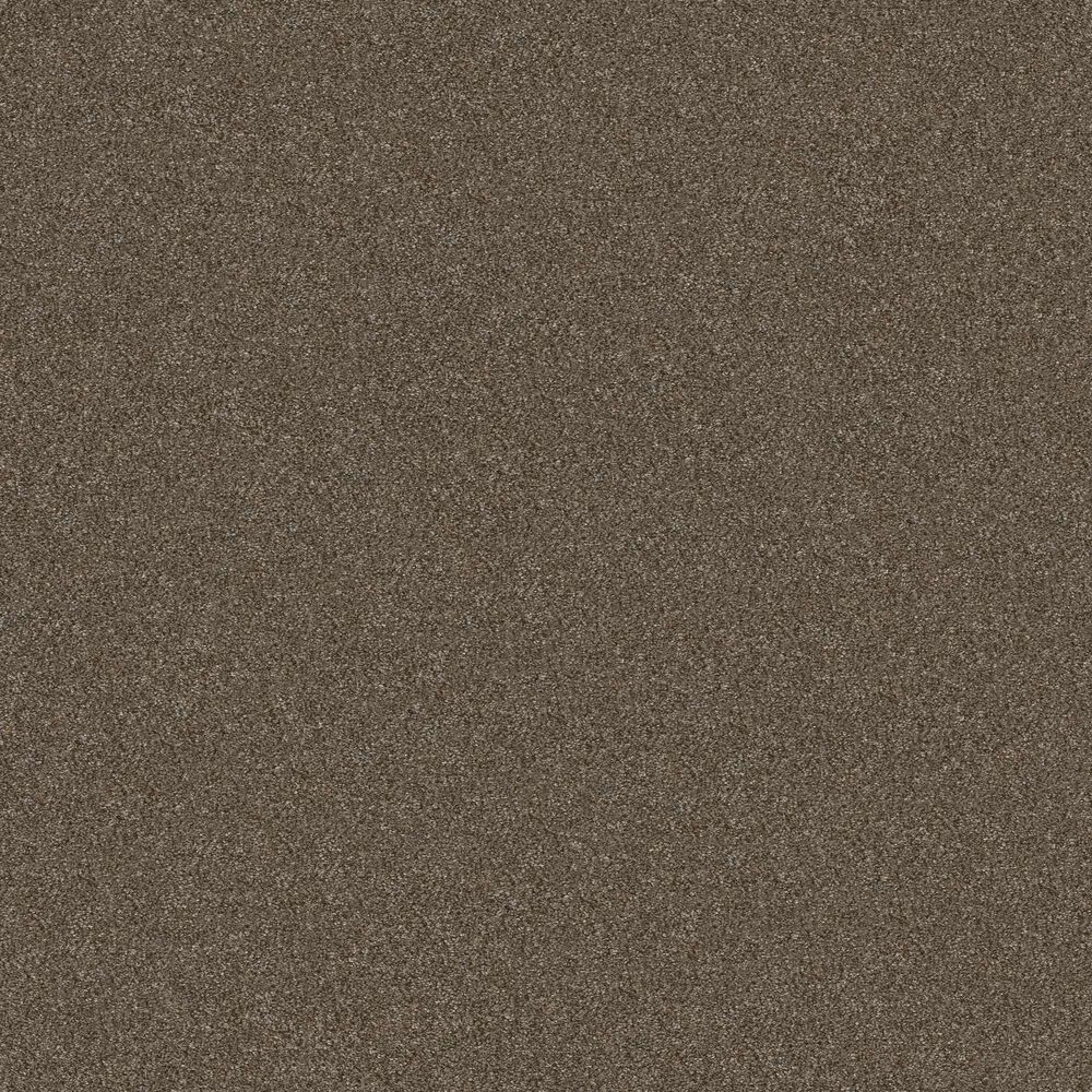 Shaw Without Limits II Carpet in Bountiful, , large