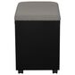 Valor Living Mobile File with Padded Seat in Black, , large