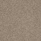 Shaw Del Morro Carpet in Nomadic, , large