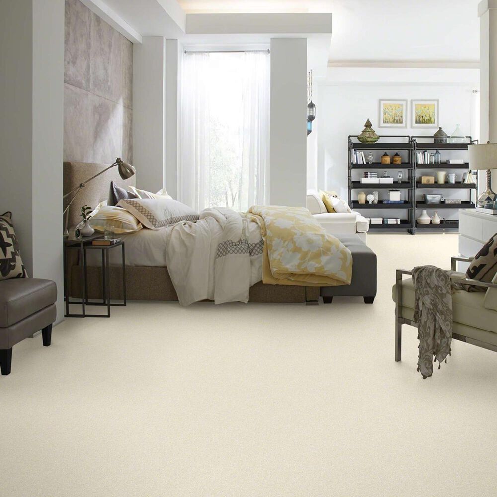 Anderson Tuftex Pawparazzi I Carpet in Antiquity, , large
