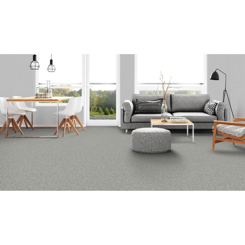 Dixie Home Devotion Carpet in Cinderblock, , large