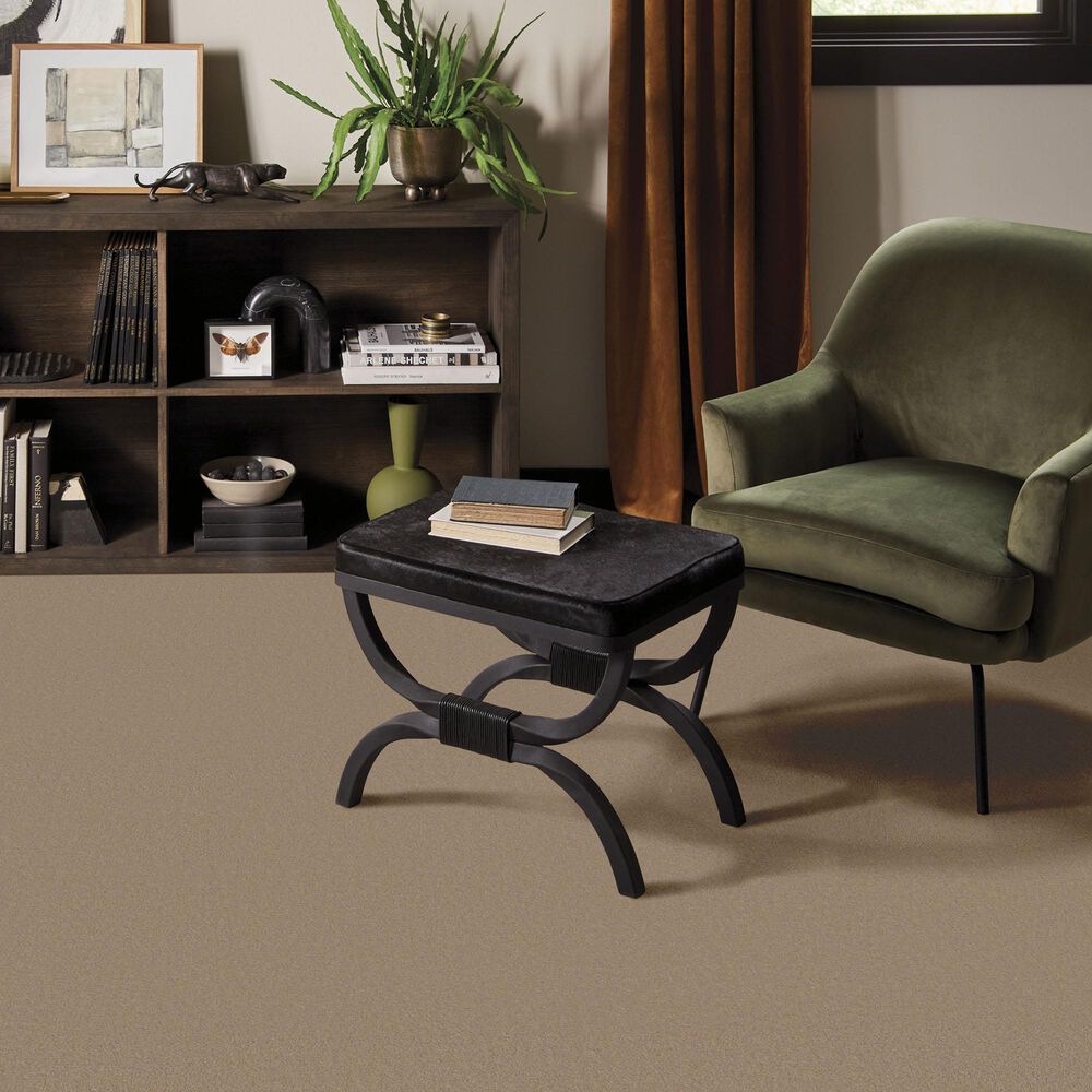 Anderson Tuftex Finery Carpet in Oak Ridge, , large