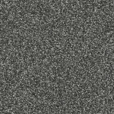 Dixie Home Outlast Carpet in Onyx, , large
