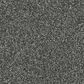 Dixie Home Outlast Carpet in Onyx, , large
