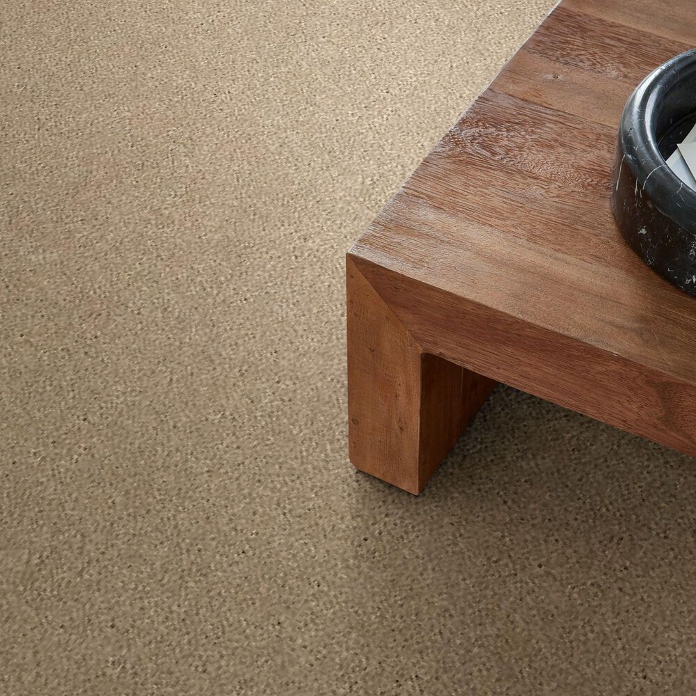 Anderson Tuftex Free Form Carpet in Oak Ridge, , large