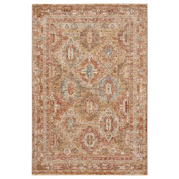 Nourison Sahar SHR01 7"10" x 10"4" Rust Area Rug, , large