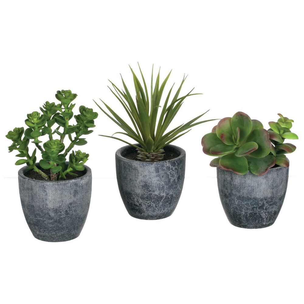 Sullivan Potted Succulent in Green (Set of 3), , large