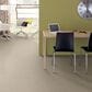 Shaw Well Grounded II 15" Carpet in Bleached, , large