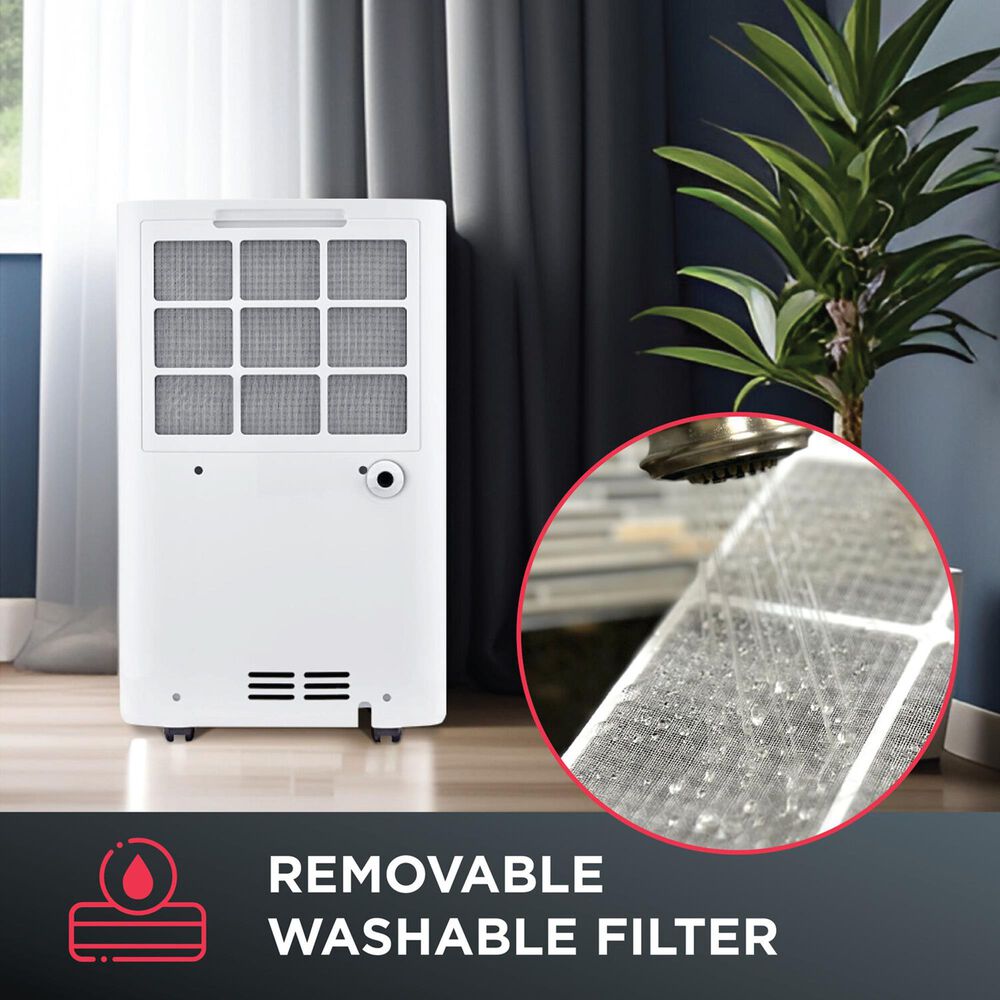 Amana 50-Pint Dehumidifier with Pump in White, , large