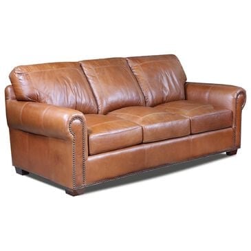 USA Premium Leather Stationary Sofa in Saddle Glove, , large