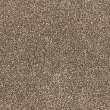 Dixie Home Bolt Carpet in Explore, , large