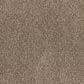 Dixie Home Bolt Carpet in Explore, , large