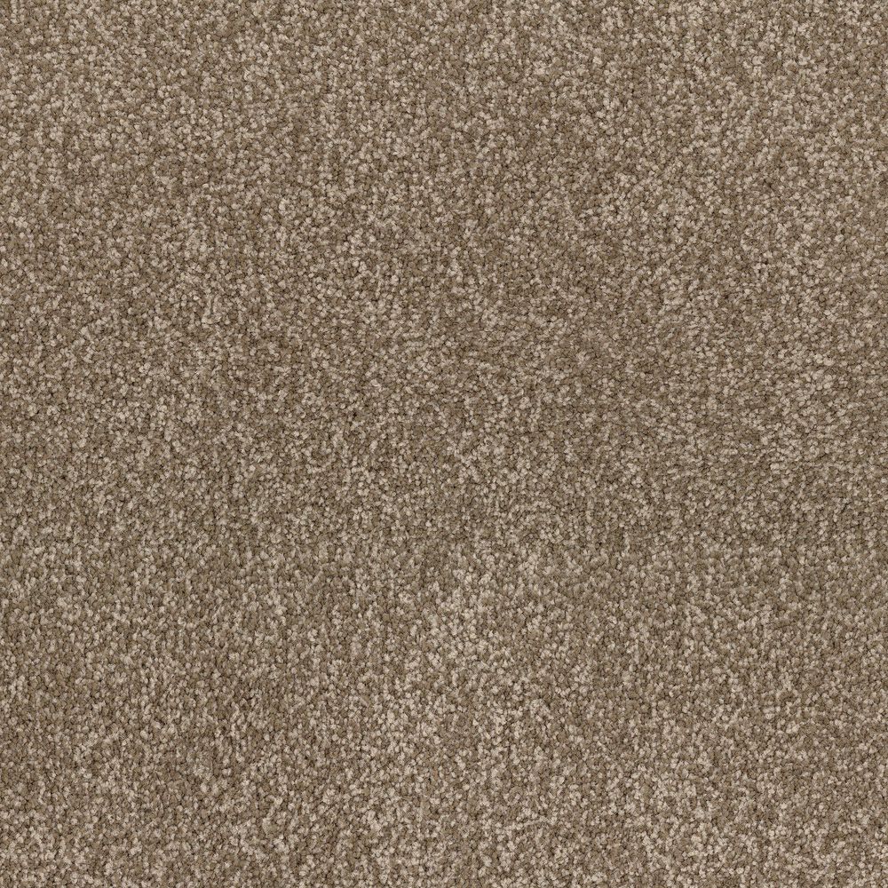 Dixie Home Bolt Carpet in Explore, , large