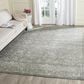 Safavieh Evoke EVK270S 10" x 14" Grey and Ivory Area Rug, , large