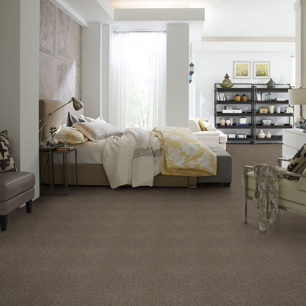 Shaw Find Your Comfort TT I Carpet in Summer House, , large