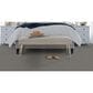 Masland Festivities Carpet in Noire, , large