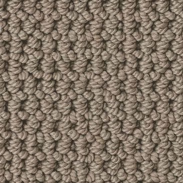 Anderson Tuftex Arden Park Carpet in Taupe Gray, , large