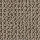 Anderson Tuftex Arden Park Carpet in Taupe Gray, , large