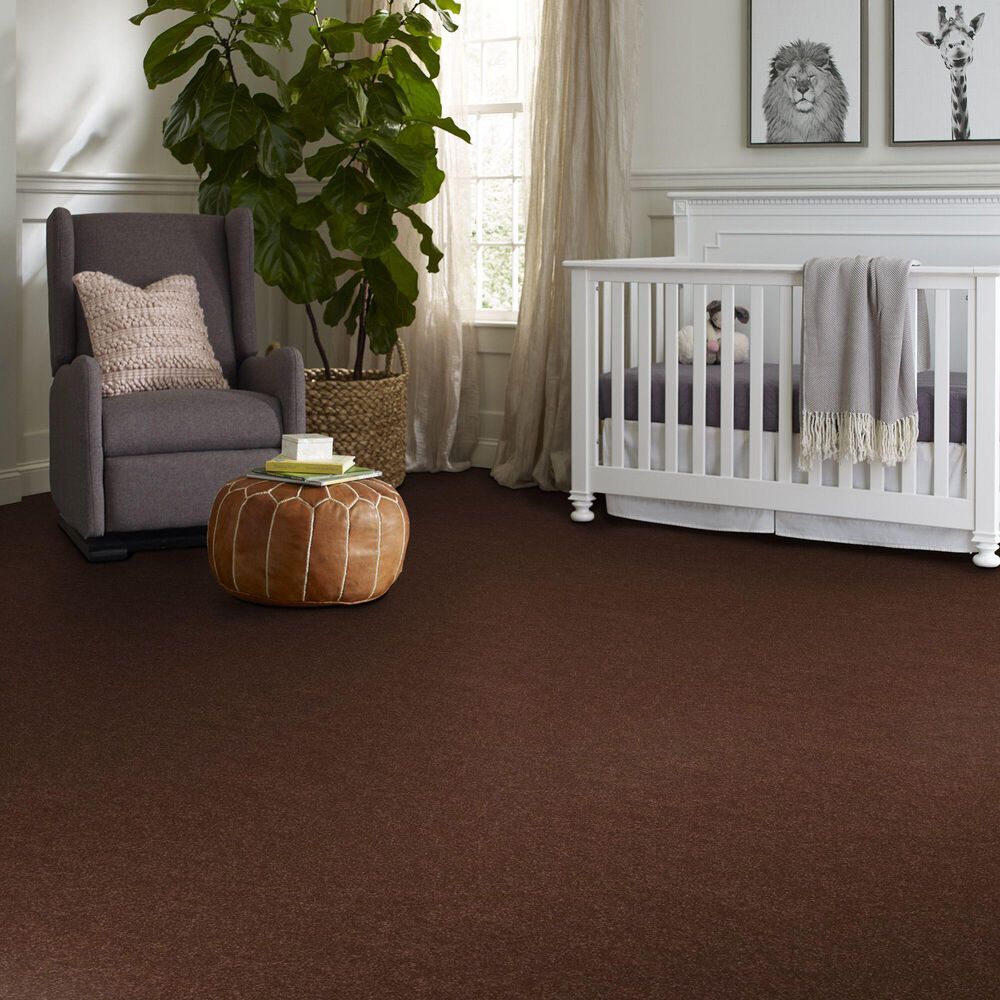 Shaw Hard At Play Iii Carpet in Orange Oxide, , large
