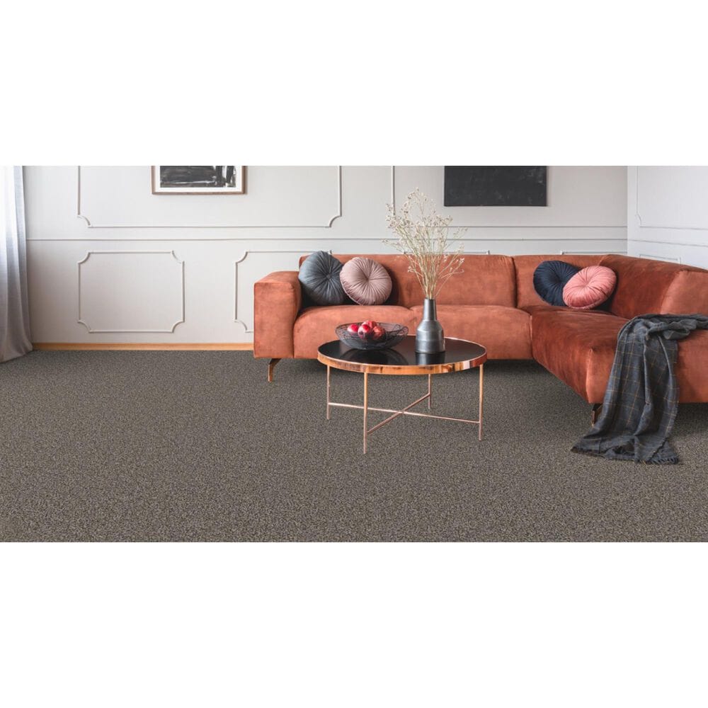 Dixie Home Admire Carpet in Hematite, , large