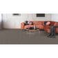 Dixie Home Admire Carpet in Hematite, , large