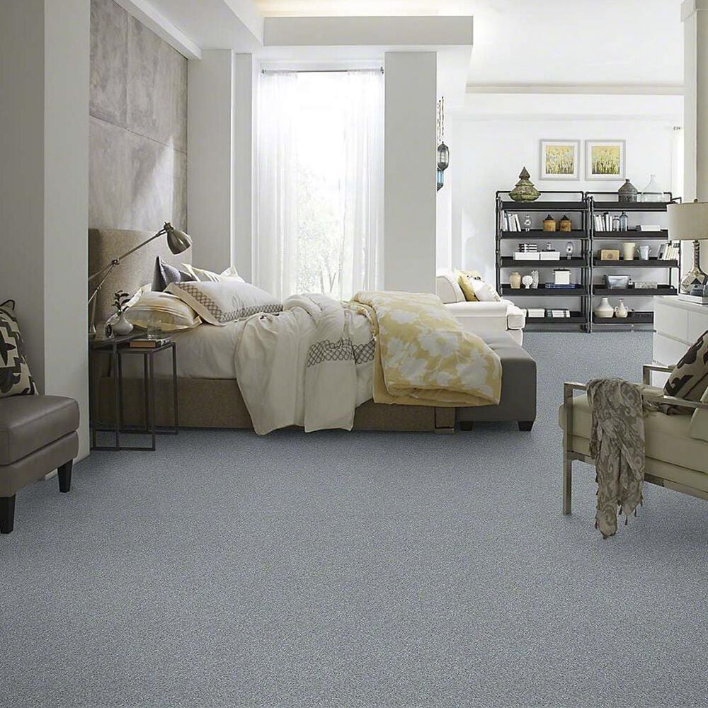 Anderson Tuftex Barracan Classic III Carpet in Wedgewood, , large