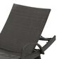 Noble House Salem Patio Chaise Lounge in Multi-Brown (Set of 2), , large