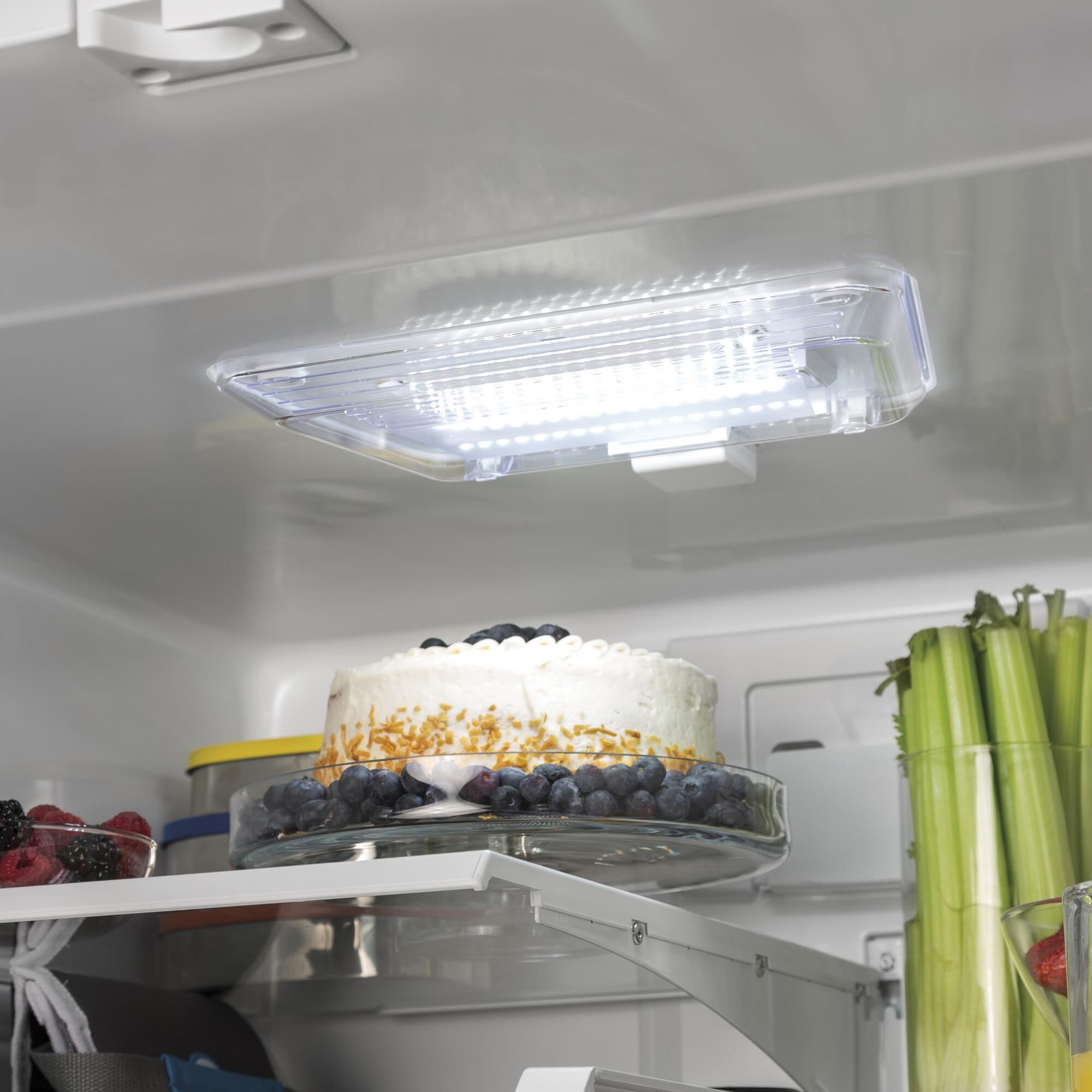 Ge 20.8 cu ft refrigerator sale