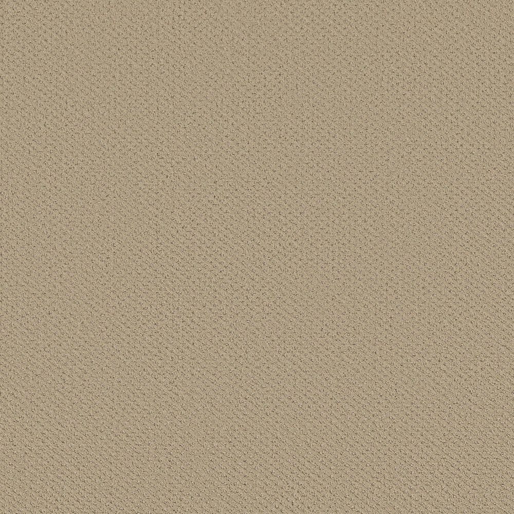 Shaw Austin Park Carpet in Boutique, , large