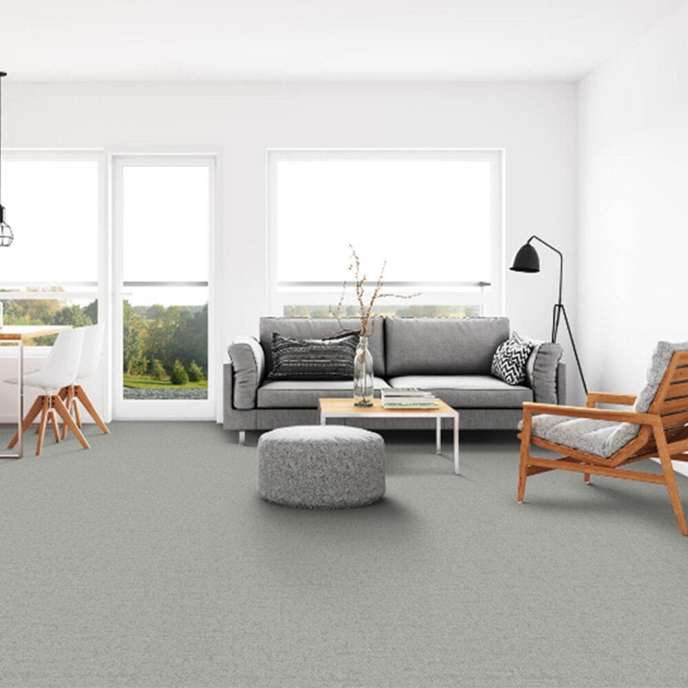 Dixie Home Genuine Carpet in Credible, , large