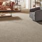 Mohawk Refined Saga II Carpet in Dusky Willow, , large