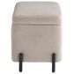 Lifestyle Solutions Kona Small Storage Ottoman in Taupe, , large