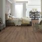 Shaw Paladin Plus 7" x 48" Vinyl Plank in Boardwalk, , large