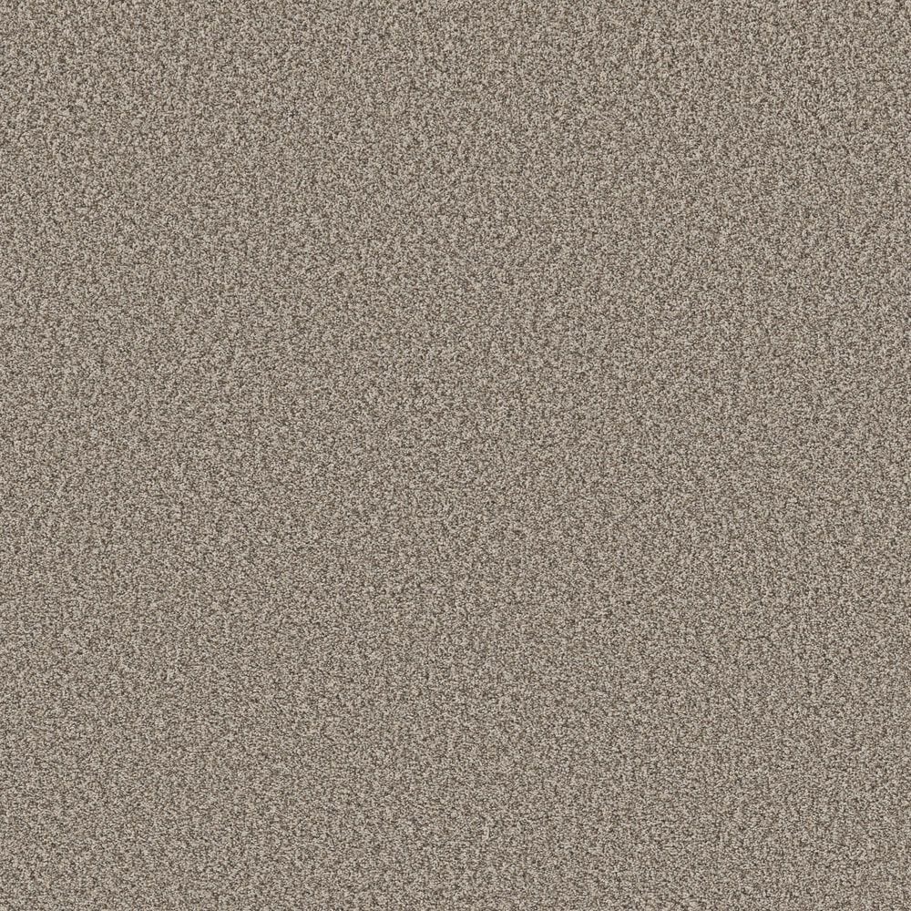 Shaw Prescott Valley Carpet in Pashmina, , large