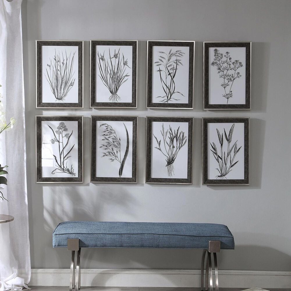 Uttermost Classic Botany Framed Prints (Set of 8), , large