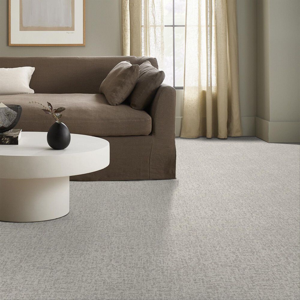Shaw Home Within Carpet in Snowfall, , large