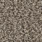 Shaw Renewed Energy I Carpet in Countryside, , large