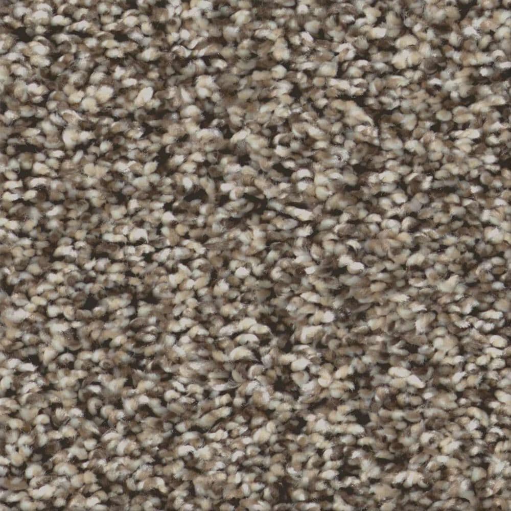 Shaw Renewed Energy I Carpet in Countryside, , large