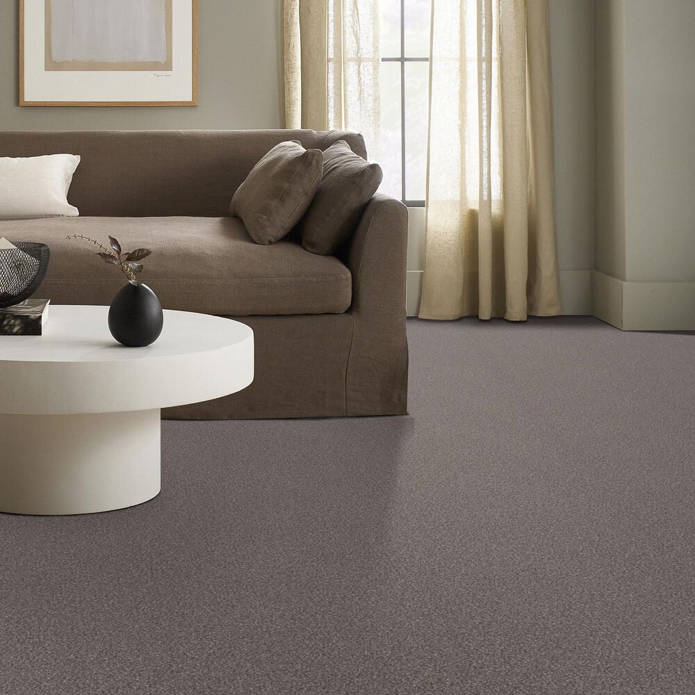 Shaw Truspirit Ii Carpet in Stainless, , large