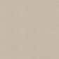 Shaw Comforting I Carpet in Adobe, , large