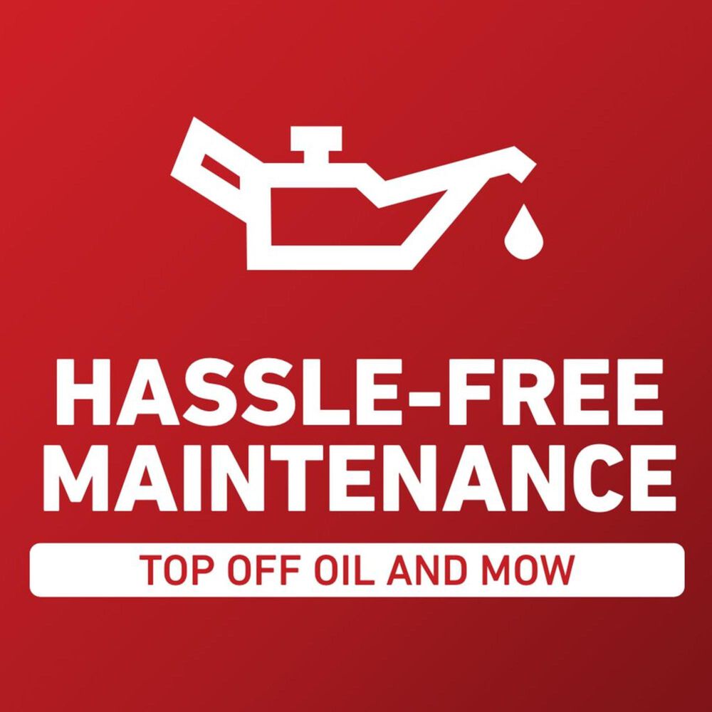 Toro 30" TimeMaster Gas Push Lawn Mower, , large