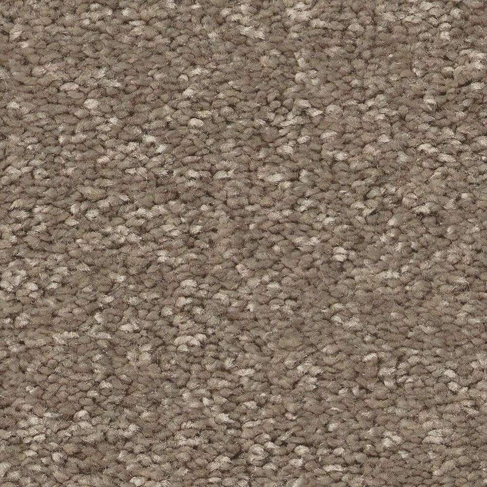 Shaw Bold Move Plus Carpet in Boardwalk, , large