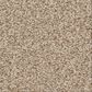 Shaw Del Rio I Carpet in Hayloft, , large