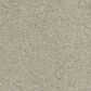 Shaw Barracan Classic III Carpet in Spruce, , large