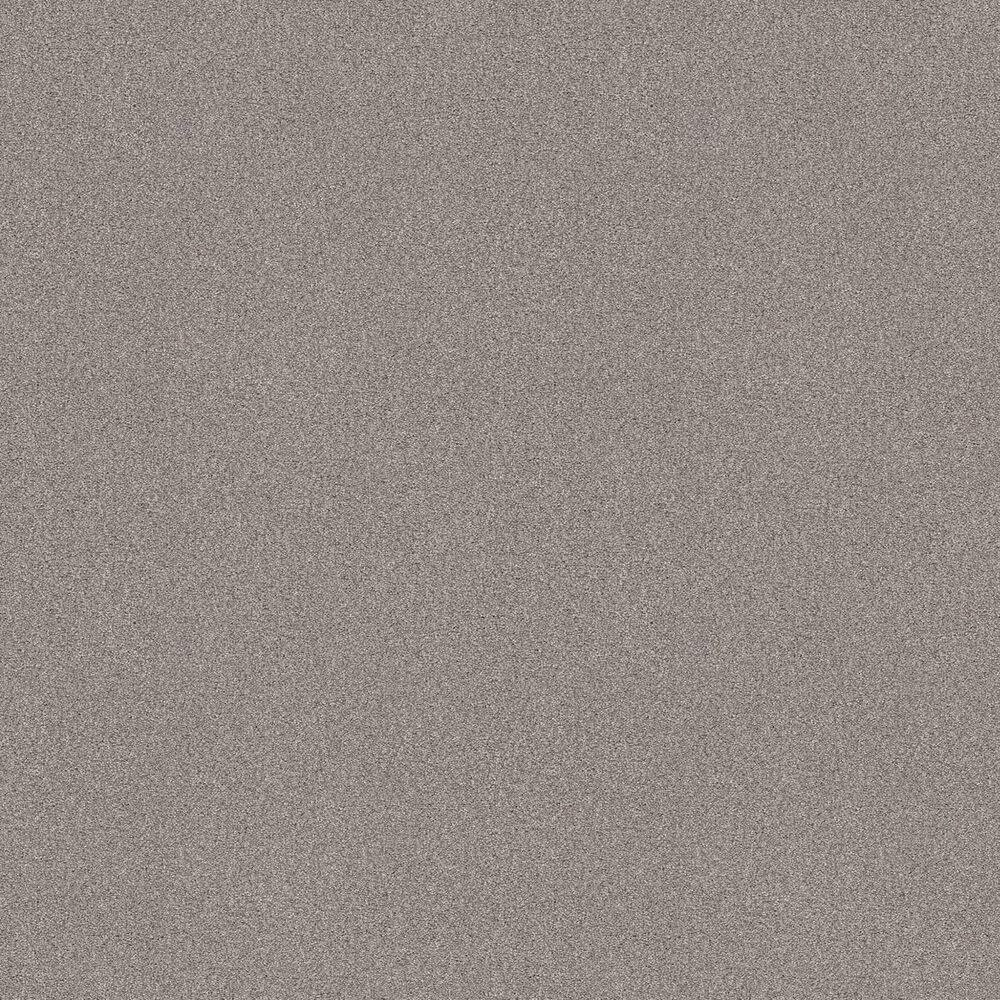 Shaw Tonal Comfort I Carpet in Whisper, , large