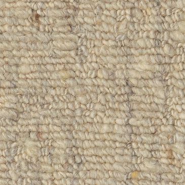 Anderson Tuftex Sensate Carpet in Aspire, , large