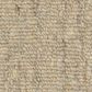 Anderson Tuftex Sensate Carpet in Aspire, , large