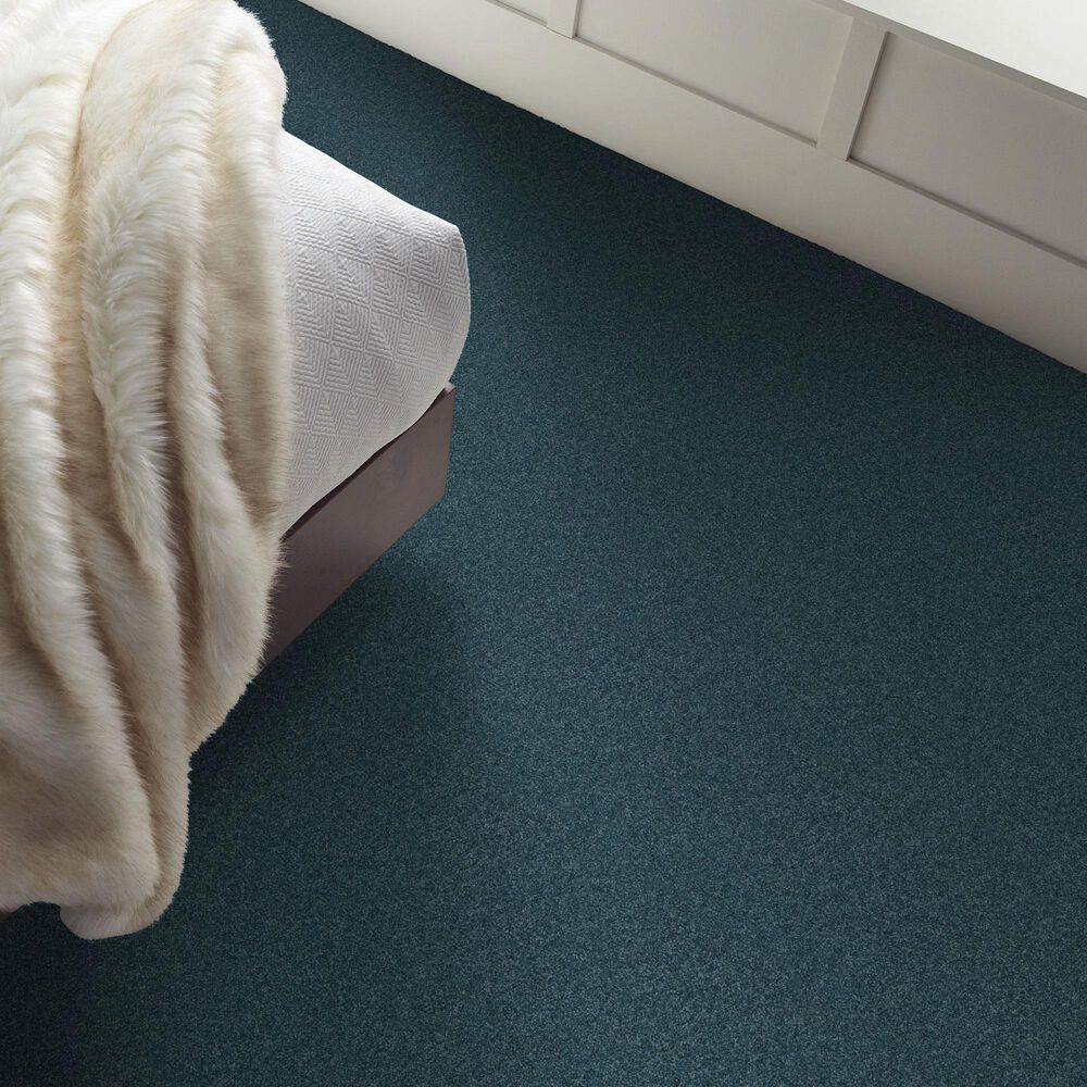 Shaw Comforting I Carpet in Tailwind, , large